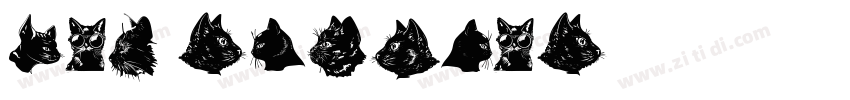 cat regular字体转换